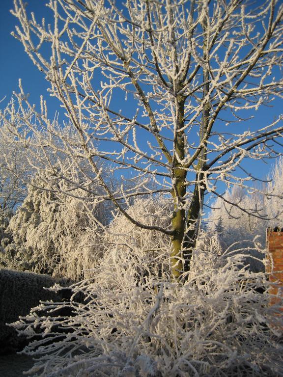 Bocholt B&B Het Uilennest מראה חיצוני תמונה