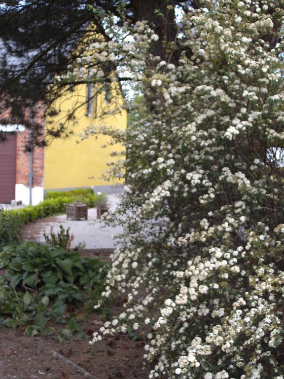 Bocholt B&B Het Uilennest מראה חיצוני תמונה